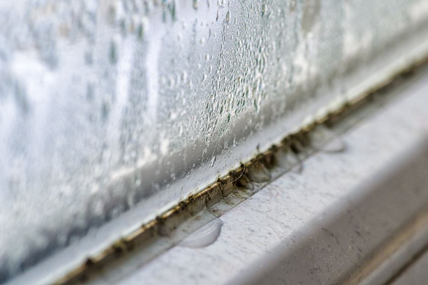 Humidity indoors, condensation on windowsill