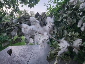 Public Air Conditioner Enemy